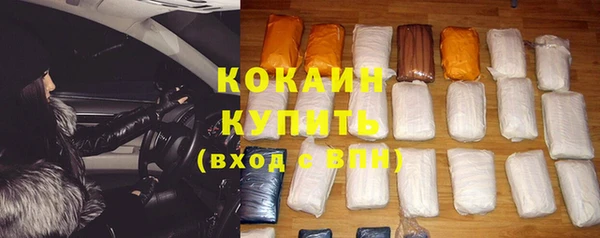 ГАЛЛЮЦИНОГЕННЫЕ ГРИБЫ Магас