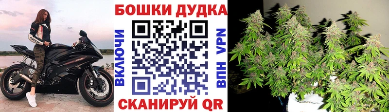 цена   Пугачёв  KRAKEN зеркало  Бошки Шишки VHQ 